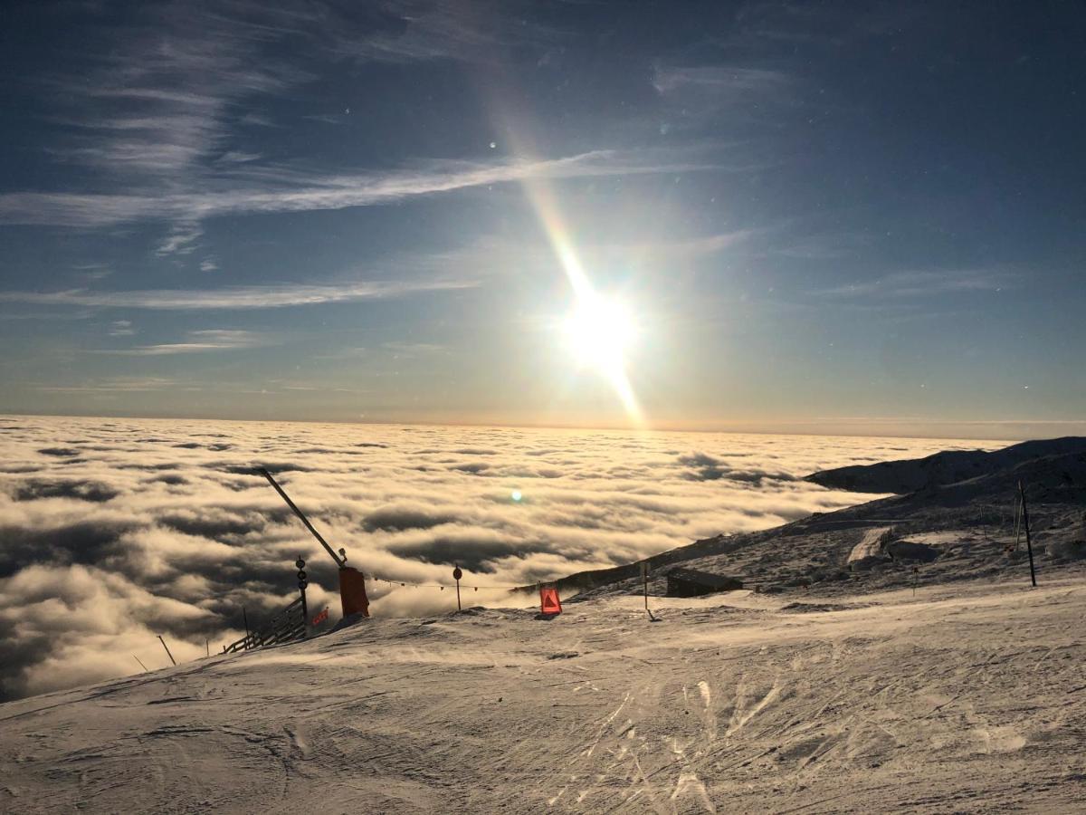 Apartman Luna Tale Chopok Jasna Juh Buitenkant foto